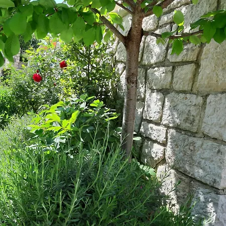 Adria Apartman Vrsar