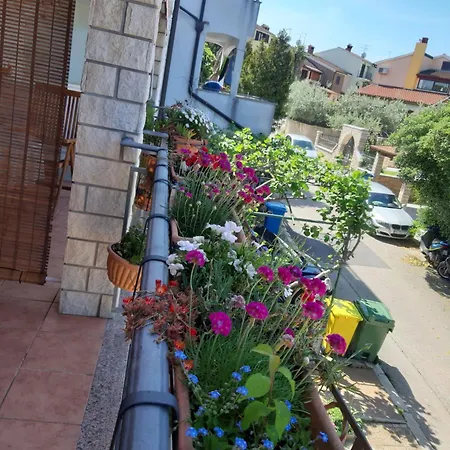 Adria Апартаменты *