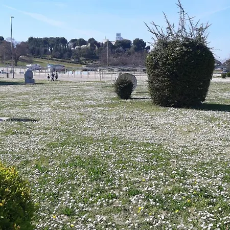 Apartment Adria