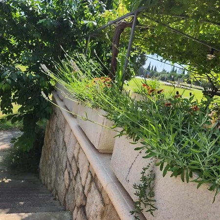 Adria Apartman Vrsar