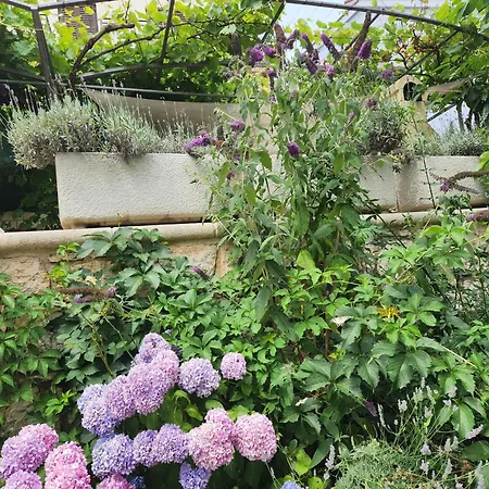 Adria Апартаменты Врсар