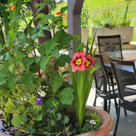 아파트 Adria 브르사르