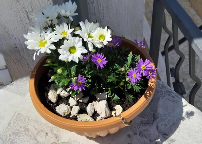 Adria Apartman *