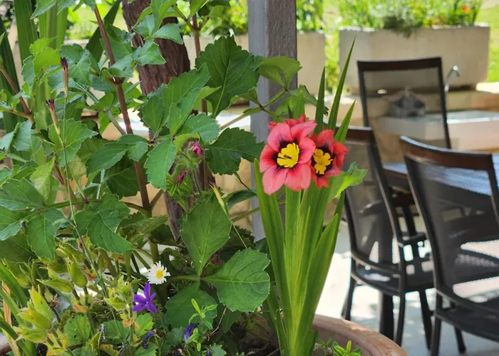 Apartman Adria Vrsar