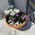 Adria 아파트 *