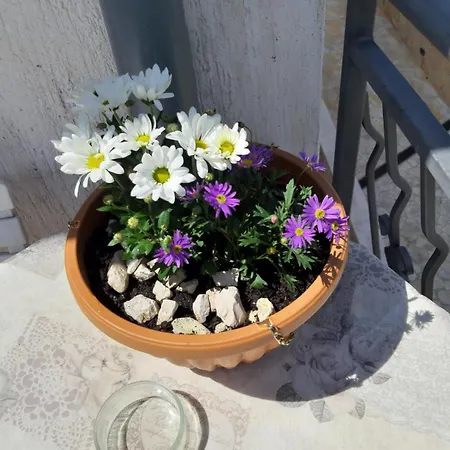 Adria דירה *